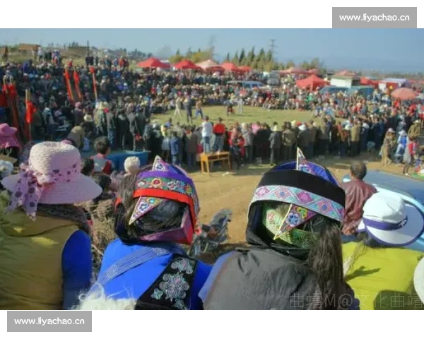 斗羊比赛映射民俗文化传承与乡村体育竞技新风貌发展趋势与社会价值探析