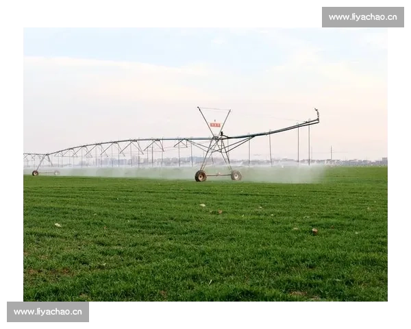 探索以谷比赛的独特魅力与发展趋势，打造未来农业竞赛的新视角